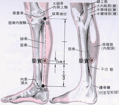 築濱穴